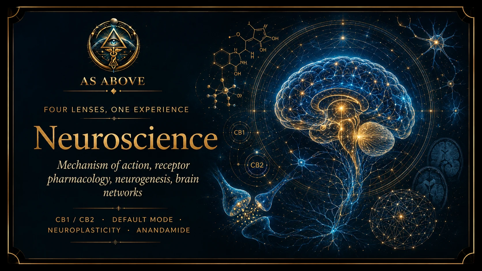 Neuroscience ... mechanisms of action, receptor pharmacology, neurogenesis, brain networks
