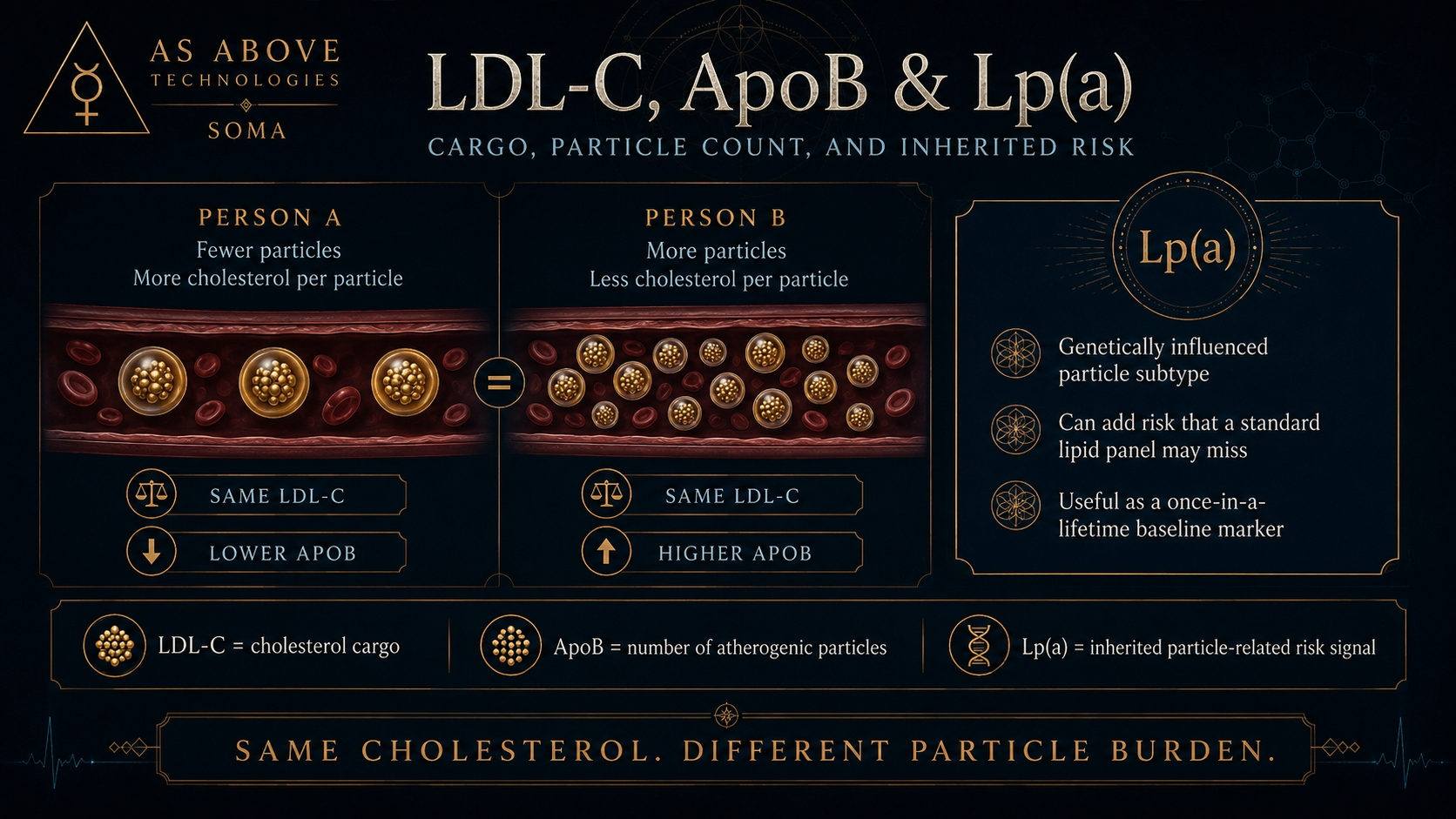 LDL-C, ApoB and Lp(a) compared: two people with identical LDL-C but different particle counts, plus an inherited Lp(a) risk panel