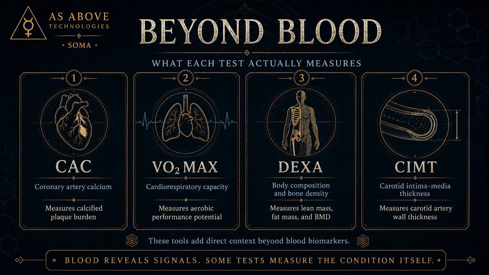 Beyond blood: four non-blood diagnostics compared, coronary artery calcium score, VO2 max, DEXA and carotid intima-media thickness