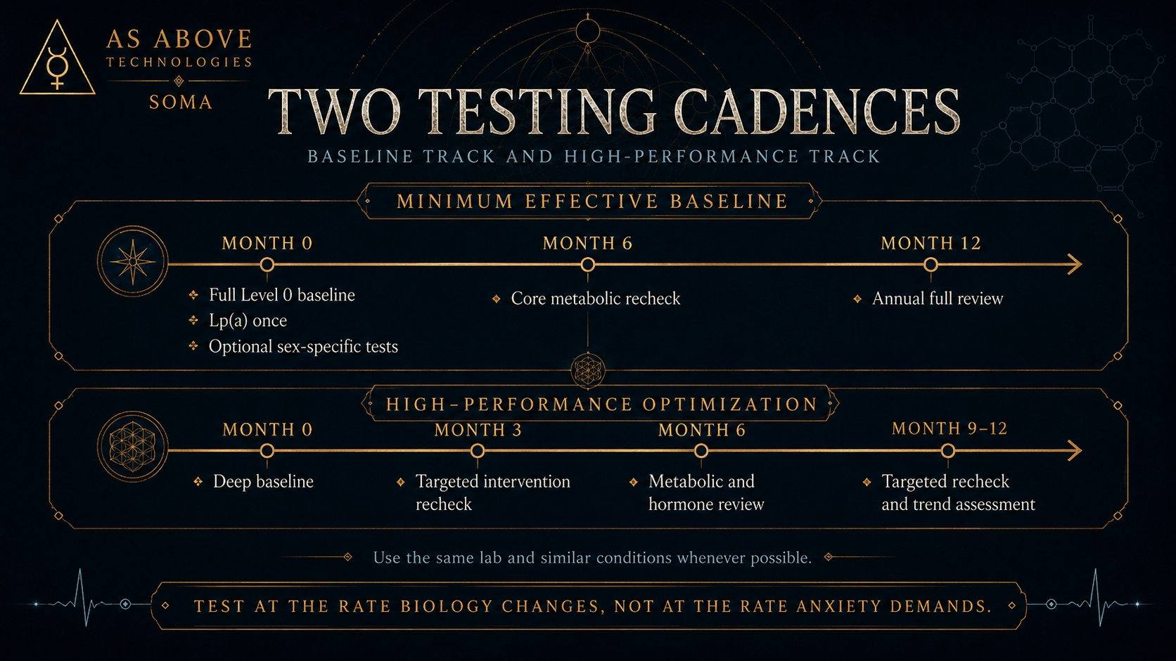 Two testing cadences compared: a minimum effective baseline track at months 0, 6 and 12, and a high-performance optimization track at months 0, 3, 6 and 9 to 12