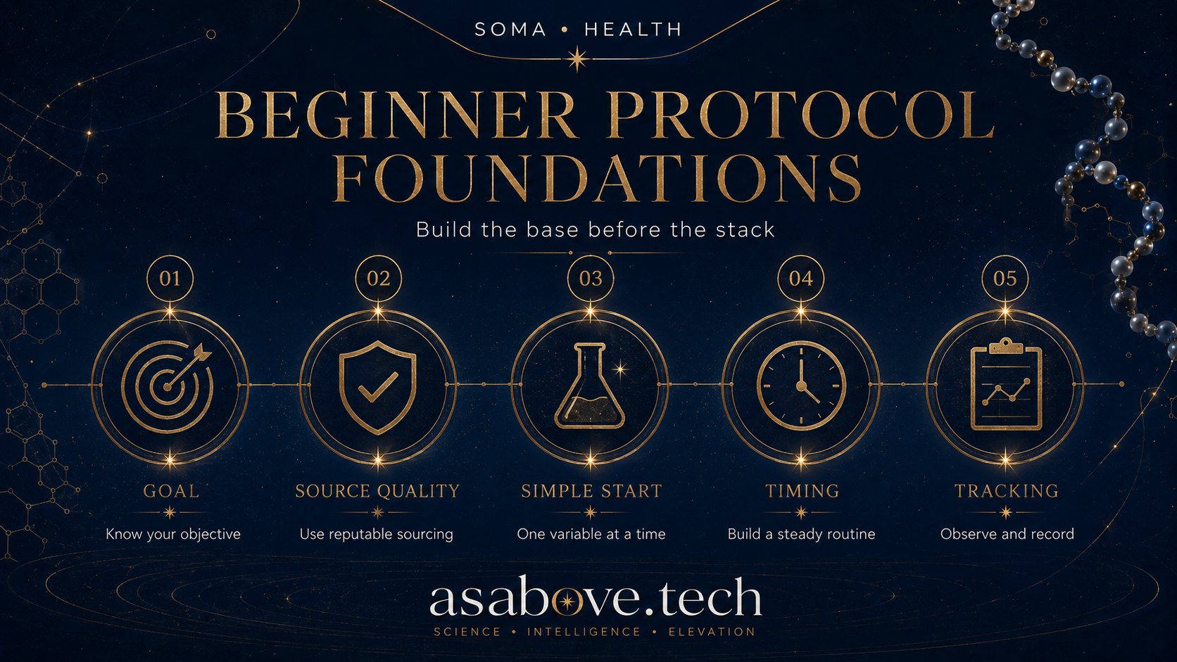 Beginner protocol foundations: goal, source quality, simple start, timing, and tracking